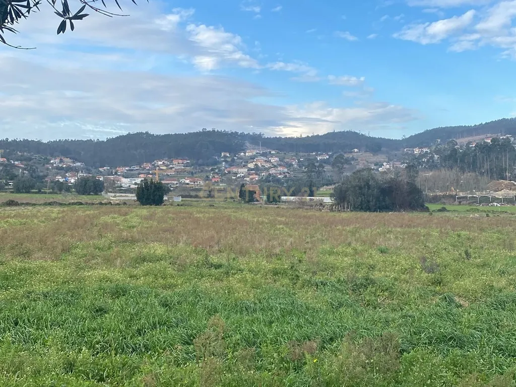 Terreno Agrícola plano, com 4.900m², em Curvos - Image 15
